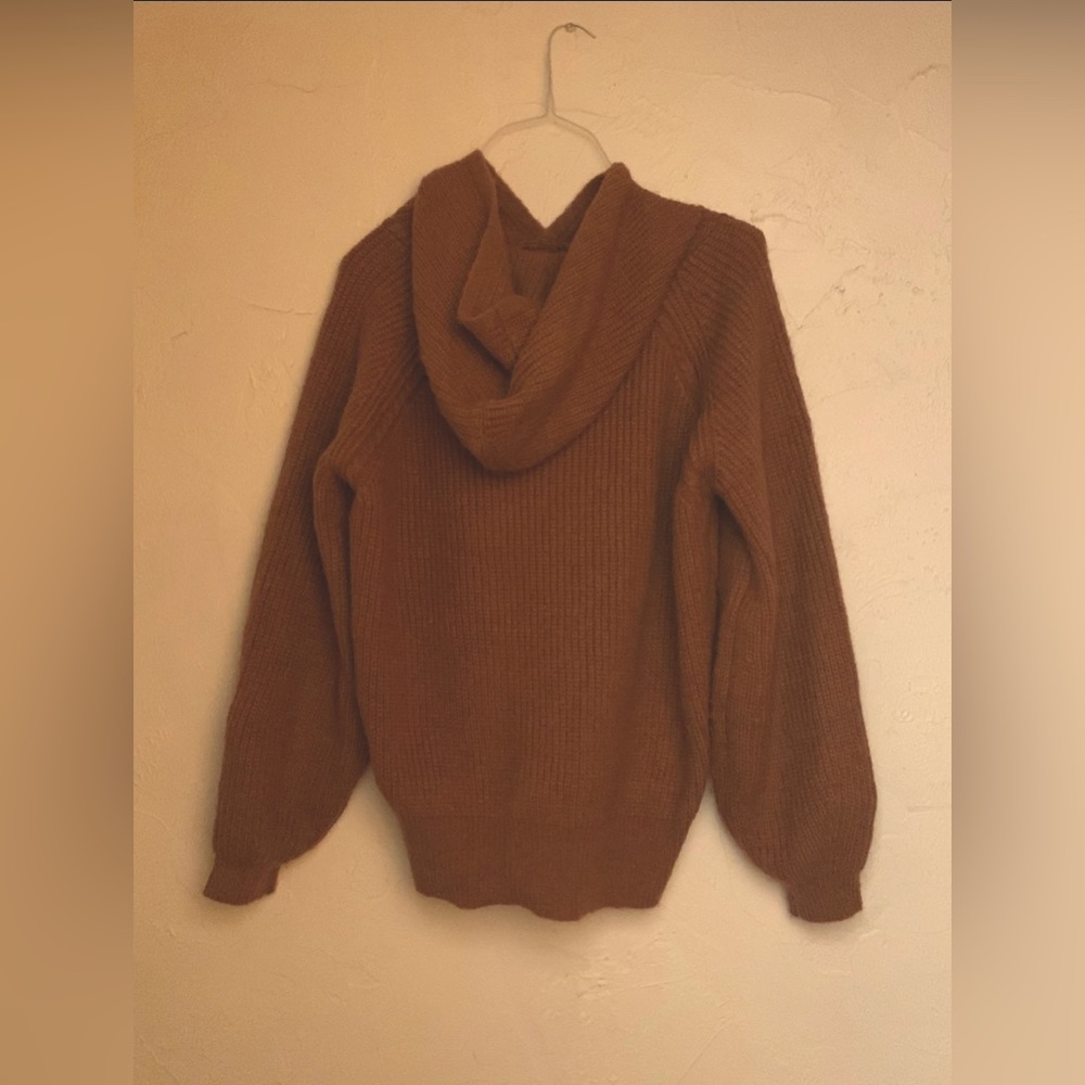 Rust BluIvy Hooded Sweatshirt
